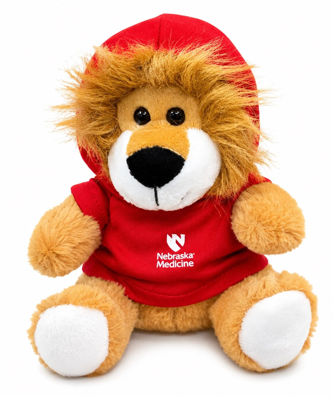 Roary- The Company Store's official Spirit Lion!