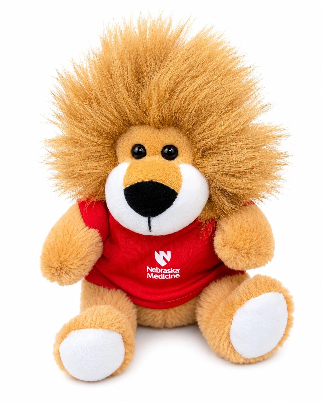 Roary- The Company Store's official Spirit Lion!